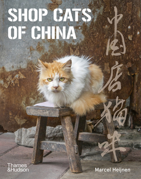 Paperback Shop Cats of China Book