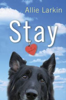 Hardcover Stay Book