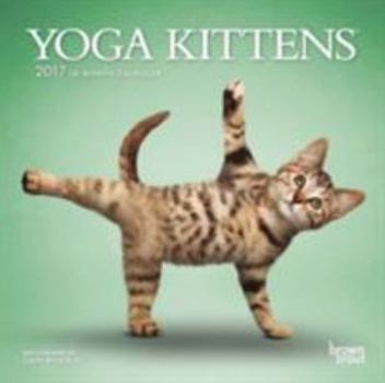 Calendar Yoga Kittens 2017 Calendar Book