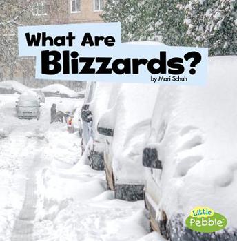 Paperback What Are Blizzards? Book