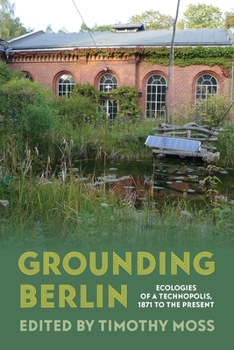 Ecologies of the Technopolis: Contested Environments and Infrastructures of Berlin, 1871-2021
