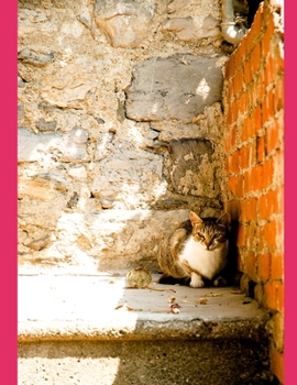 Paperback Quotes for Students to Put on Shirts: Collected by teachers at SunFire High School Book