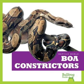 Boa Constrictors - Book  of the Reptile World