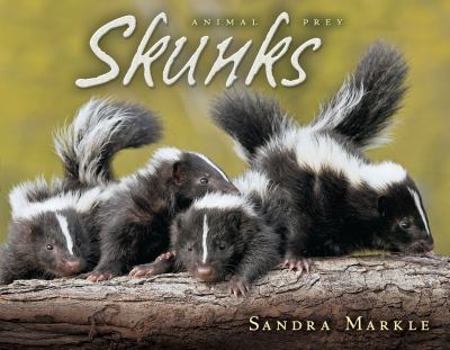 Hardcover Skunks (Animal Prey) Book