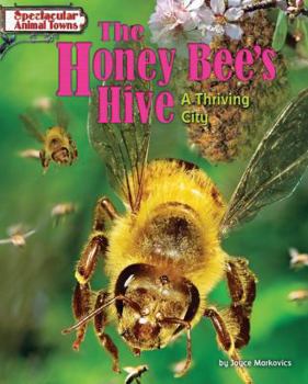Library Binding The Honey Bee's Hive: A Thriving City Book
