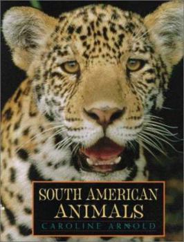 Hardcover South American Animals Book