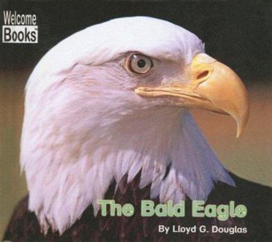 The Bald Eagle