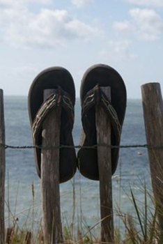 Journal: Flip Flops
