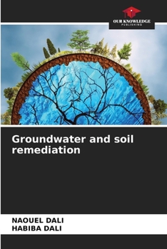 Paperback Groundwater and soil remediation Book