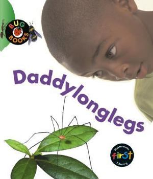 Hardcover Daddylonglegs Book