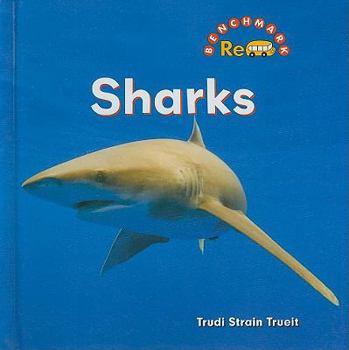 Library Binding Sharks Book