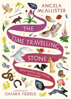 The Time Travelling Stone: Seven Stories, One Hillside, 6000 Years