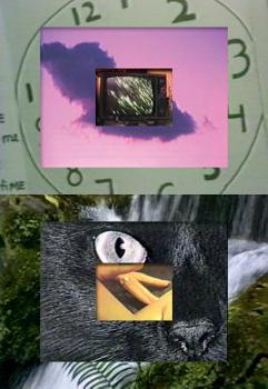 Paperback Stories, Myths, Ironies, and Other Songs: Conceived, Directed, Edited, and Produced by M. Auder Book