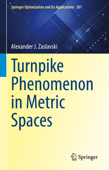 Hardcover Turnpike Phenomenon in Metric Spaces Book