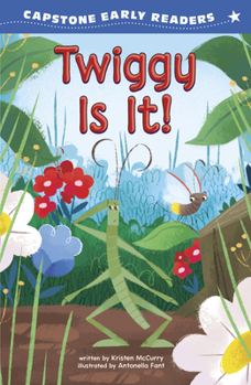 Library Binding Twiggy Is It! Book
