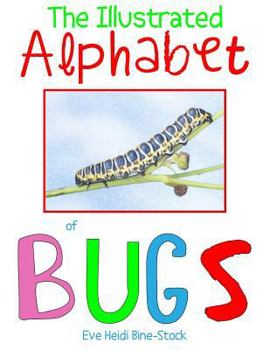 Paperback The Illustrated Alphabet of Bugs Book