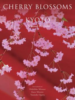 Paperback Cherry Blossoms of Kyoto: A Seasonal Portfolio Book