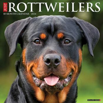 Calendar Just Rottweilers 2024 12 X 12 Wall Calendar Book