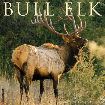Calendar Bull Elk 2026 Wall Calendar Book