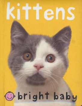 Chunkies Bright Baby Chunky: Kittens - Book  of the Bright Baby