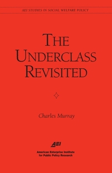 Paperback The Underclass Revisited Book