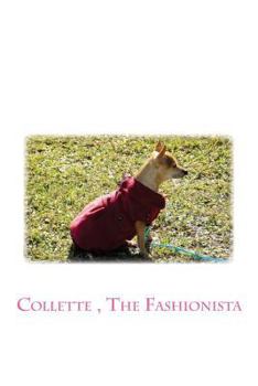 Paperback Collette, The Fashionista Book