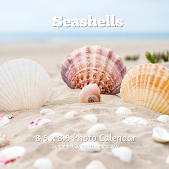 Paperback Seashells 8.5 X 8.5 Calendar September 2021 -December 2022: Monthly Calendar with U.S./UK/ Canadian/Christian/Jewish/Muslim Holidays-Beach Professiona Book