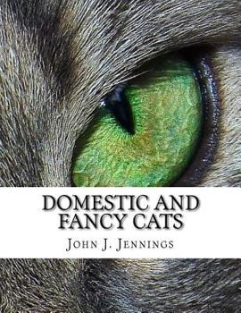 Paperback Domestic and Fancy Cats: A Practical Treatise on Their Varieties, Breeding, Management and Diseases Book