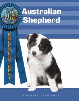 Australian Shepherd