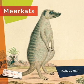 Hardcover Meerkats Book