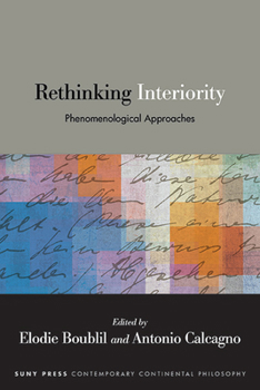 Paperback Rethinking Interiority: Phenomenological Approaches Book
