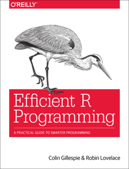 Paperback Efficient R Programming: A Practical Guide to Smarter Programming Book