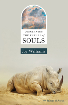 Hardcover Concerning the Future of Souls Book