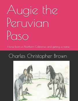 Paperback Augie the Peruvian Paso: Horse born in Northern California and getting a name. Book