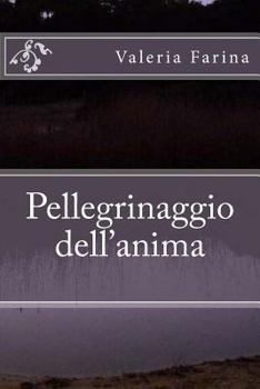 Paperback Pellegrinaggio dell'anima [Italian] Book