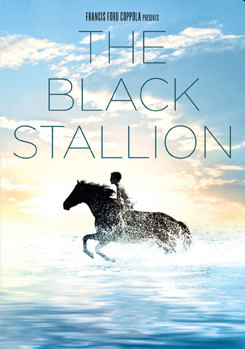 Hardcover The Black Stallion Book