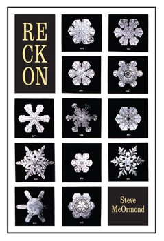 Paperback Reckon Book