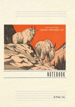 Vintage Lined Notebook Greetings from Idaho Springs
