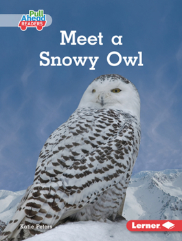 Library Binding Meet a Snowy Owl Book