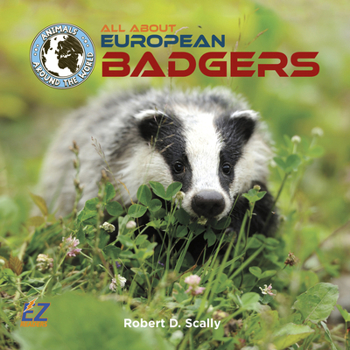 All about European Badgers