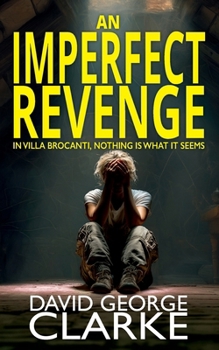 Paperback An Imperfect Revenge Book