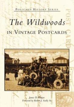 Paperback The Wildwoods in Vintage Postcards Book