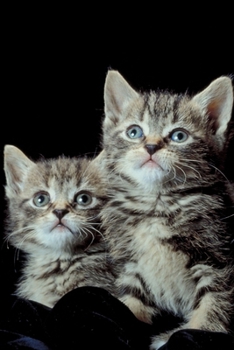 My Precious Companion Cat Journal: Cute Journal & Blank Notebook with Wildlife, Pets & Animals related Theme | School, College & Work Journal For ... | Beautiful  Portrait Gift For Cat Lovers