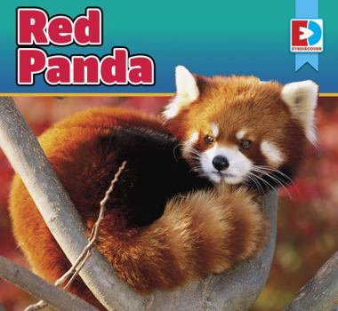Red Panda