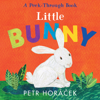 Board book Little Bunny Book