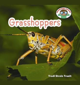 Grasshoppers - Book  of the Backyard Safari