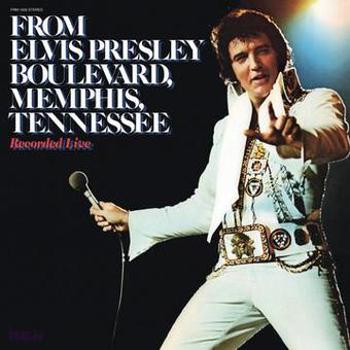 Vinyl From Elvis Presley Boulevard Memphis Tennessee Book