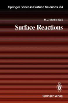 Paperback Surface Reactions Book