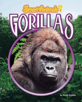 Gorillas - Book  of the Smart Animals