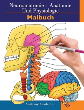 Paperback Neuroanatomie + Anatomie und Physiologie Malbuch: 2-in-1-Sammlungssatz Unglaublich detailliertes Arbeitsheft mit Selbsttestfarben für Studium und Ents [German] Book